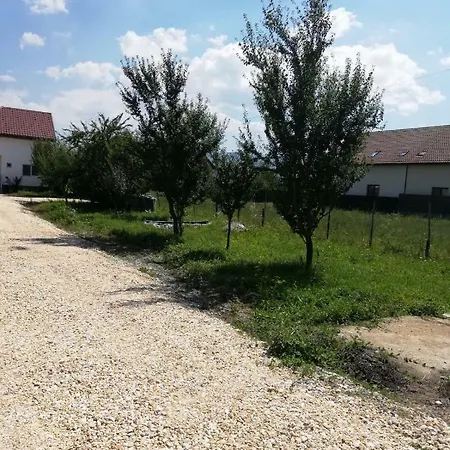 Ekooos Braşov